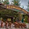 Redwood Creek Challenge Trail May 2016