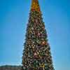 Christmas tree, Disneyland Town Square, December 2011
