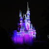 Cinderella Castle at Walt Disney World January 2010