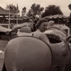 Dumbo 1955