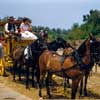 Stagecoach Ride through the Rainbow Desert Trails August 1956