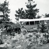 Disneyland Stagecoach photo, 1950s