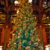 Grand Californian Lobby Christmas Tree, Dec. 2006