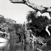 Disneyland Jungle Cruise April 26, 1966