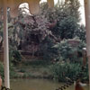 Disneyland Jungle Cruise September 3, 1958