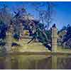Disneyland Jungle Cruise Ancient Shrine July 1955