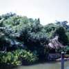 Adventureland Jungle Cruise dock area, September 1959