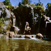 Jungle Cruise Elephant Wading Pool, October 1965