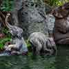 Disneyland Jungle Cruise Elephant pool May 2015