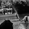 Jungle Cruise photo, February 1966