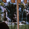 Jungle Cruise, June 1965