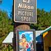 Disney California Adventure Nikon Picture Spot December 2015