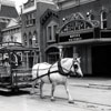 Main Street Cinema, June 1955