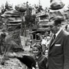 Walt Disney on the Mine Train attraction, May 1960