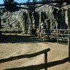 Disneyland Mule Ride at Rainbow Ridge 1956 or 1957