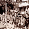 Disneyland Mule Ride at Rainbow Ridge 1956