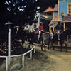 Disneyland Pack Mules, April 1965