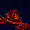 Jolly Roger in Disneyland Pirates of the Caribbean attraction photo, October 2012