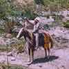 Disneyland Rivers of America Native American figure on horse, 1956