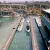 Disneyland Submarine Voyage photo, 1960s