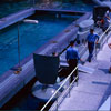 Disneyland Submarine Voyage, August 1962