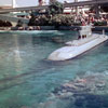 Submarine Voyage, June 1967