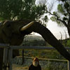 Tippi Hedren and Shambala Wildlife Preserve May 2003