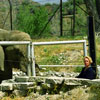 Tippi Hedren feeding an elephant at the Shambala Wildlife Preserve May 2003