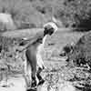 Jean Harlow, Griffith Park, Edwin Bower Hesser photo, Spring 1929