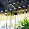 Little Frenchie Bistro, Coronado Island, April 2025