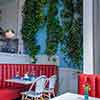 Little Frenchie Bistro, Coronado Island, May 2025