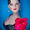 Robert Tonner DeeAnna Denton 2010 Vivaciously Vintage doll