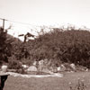 Lemon Grove photo, 1939