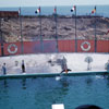 Marineland August 1958