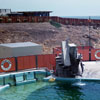 Marineland August 1958