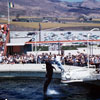 Marineland September 1958