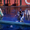 Marineland January 1962