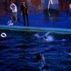 Marineland January 1962