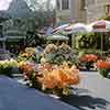 Disneyland Flower Market, September 15, 1960