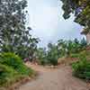 Trail to Gold Gulch, Balboa Park, San Diego, August 2024