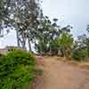 Trail to Gold Gulch, Balboa Park, San Diego, August 2024