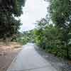 Trail to Gold Gulch, Balboa Park, San Diego, August 2024