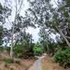 Trail to Gold Gulch, Balboa Park, San Diego, August 2024