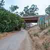 Trail to Gold Gulch, Balboa Park, San Diego, August 2024