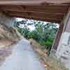 Trail to Gold Gulch, Balboa Park, San Diego, August 2024