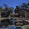 San Diego Balboa Park Botanical Garden lily pond, June 1958