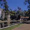 San Diego Balboa Park Botanical Garden lily pond, June 1958