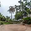 Balboa Park Zoro Garden, August 2024