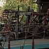 Disneyland Swiss Family Robinson Tree House, 1965