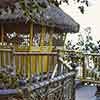 Disneyland Swiss Family Robinson Treehouse, November 1971